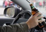 В Бресте пьяный пенсионер пытался завести машину с помощью детей (видео)