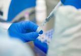 Только у 84 человек выявили коронавирус в Беларуси за сутки