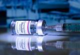 Российскую вакцину от коронавируса испытают в Беларуси на добровольцах