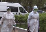 В Беларуси за сутки выявили 613 инфицированных коронавирусом