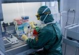 Академик сообщил об устойчивости некоторых людей к заражению коронавирусом
