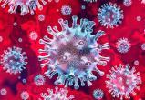 Ученые нашли средство, которое за 30 секунд убивает коронавирус