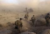 Серия самоубийств солдат: что происходит в Австралии после отчёта о преступлениях спецназа в Афганистане