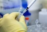 Российская вакцина от COVID появится в марте и будет стоить менее $10
