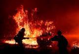 За истекший период 2020 года в Бресте произошло 78 пожаров и 1 человек погиб 