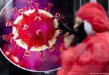 После коронавируса мир ждут и другие пандемии? 