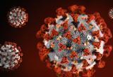 Власти США назвали предполагаемый источник возникновения коронавируса