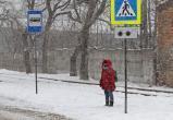 Желтый уровень опасности объявили в Беларуси на 29 января из-за снегопада