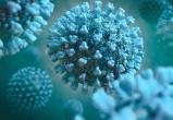 Глава Cog-UK: британский штамм коронавируса захватит мир на 10 лет