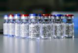 ЕС начнет переговоры о закупках российской вакцины от коронавируса «Спутник V»