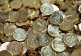 Житель Северодвинска расплатился с долгами 22 кг монет
