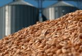 Минсельхозпрод объяснил запрет на вывоз зерна из Беларуси