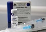 Производство российской вакцины от коронавируса «Спутник V» одобрили в Турции