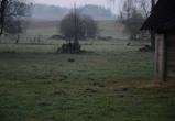 В Польше прокомментировали нарушение воздушного пространства на границе с Беларусью