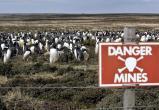 Пингвины на минных полях: опыт Великобритании