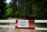 Запрет на посещение лесов ввели в 36 районах Беларуси
