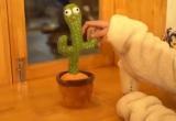 Популярная детская игрушка: кактус, танцующий под мемную песню о наркотиках и суициде