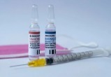 ВОЗ и EMA могут осенью одобрить российскую вакцину «Спутник V»