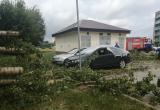 В Бобруйске 12 машин были повреждены во время грозы