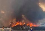 Из-за лесных пожаров в Турции погибли четыре человека
