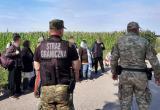 Польские пограничники задержали более 60 мигрантов на границе с Беларусью