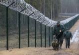 Польша построит почти 3-х метровый забор на границе с Беларусью 