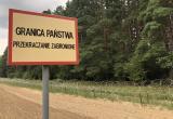 В Польше задержали разрушителей заграждения на границе с Беларусью