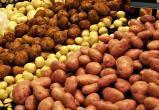 Беларусь впервые начала импорт картофеля во время уборки урожая