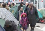 Около двухсот иракцев попросили вывезти их из Беларуси обратно в Ирак