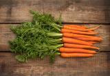 Врач-диетолог Кораблева рассказала, кому нельзя есть морковь