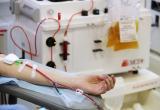 ВОЗ выступила против переливания плазмы крови пациентам с коронавирусом