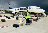 NYT: Сбежавший из Беларуси авиадиспетчер рассказал о посадке самолета Ryanair