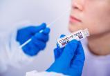 Тестирование на коронавирус организовали в пунктах пропуска «Берестовица» и «Козловичи»