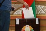 В референдуме по изменению Конституции собираются участвовать более 63% белорусов