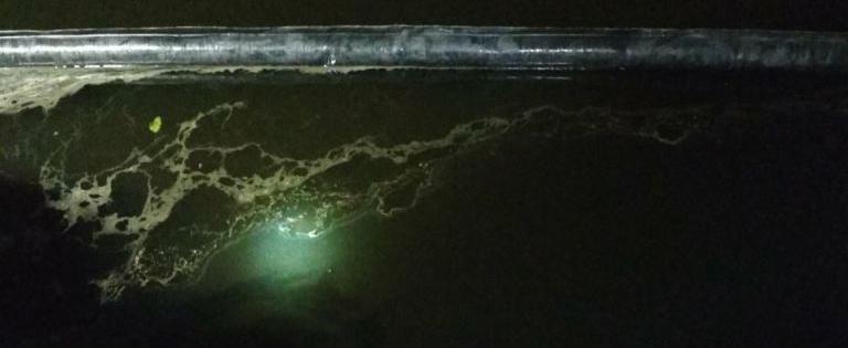 Нефтяное пятно обнаружили на Мухавеце в Бресте