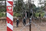 В Польше раскритиковали заявления бежавшего солдата об убийствах на границе