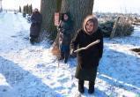 ОМОН приехал разгонять бабушек, защищающих 300-летние дубы в Охово