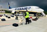 ИКАО выпустила отчет о расследовании инцидента с самолетом Ryanair в Минске