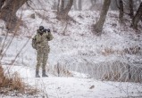 Польша сообщила о стрельбе на границе с Беларусью