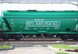 Россия и Беларусь обсуждают перенаправление калийных удобрений через российские порты