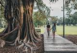 Австралийские парки будут удобрять человеческой мочой