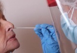 Новый штамм коронавируса «стелс-омикрон» распространяется в мире