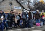 В МВД Беларуси заявили о готовности принять беженцев с Донбасса