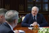 Лукашенко заявил о полнейшей безответственности при лесовосстановлении в Беларуси