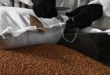 В Беларуси продлили запрет на вывоз основных видов зерна