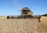 Сбор урожая пшеницы в Донецкой области, июль 2020 года