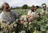 Талибан запретил производство наркотиков в Афганистане