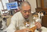 Шесть кошек и буддийский монах покорили интернет