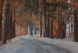 Древесина в Беларуси дешевеет?