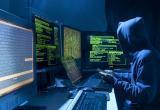 Власти Украины организовали более 660 хакерских атак против России и Беларуси